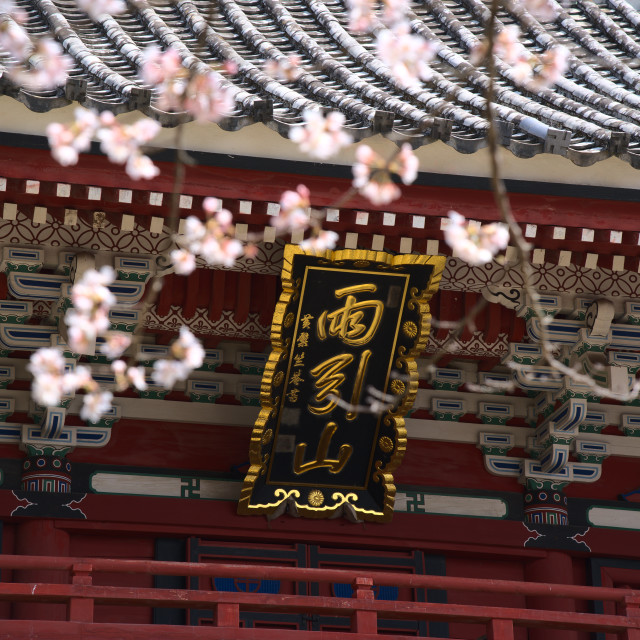 "Spring at Amebiki Kannon" stock image