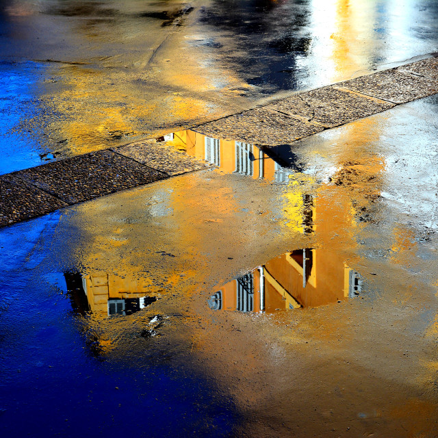 "Reflected in a pond" by Amit Mendelsohn - £50.00 "Reflected in a pond" stock image