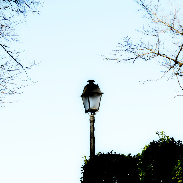 "lamp post in the park" by Amit Mendelsohn - £50.00 "lamp post in the park" stock image