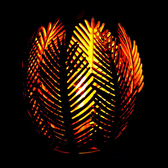 "light leaves" by Amit Mendelsohn - £50.00 "light leaves" stock image
