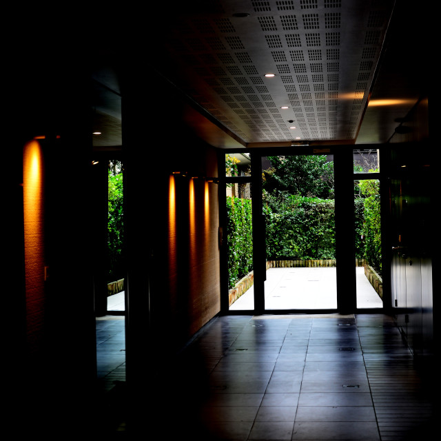 "entrance and garden" by Amit Mendelsohn - £50.00 "entrance and garden" stock image