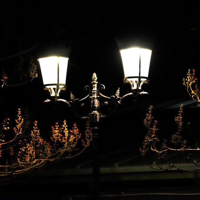 "lamp posts" by Amit Mendelsohn - £50.00 "lamp posts" stock image