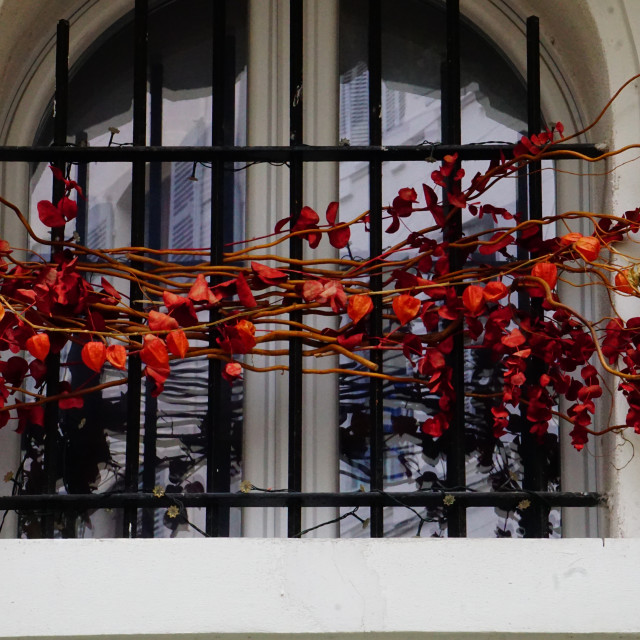 "Decorated window" by Amit Mendelsohn - £50.00 "Decorated window" stock image