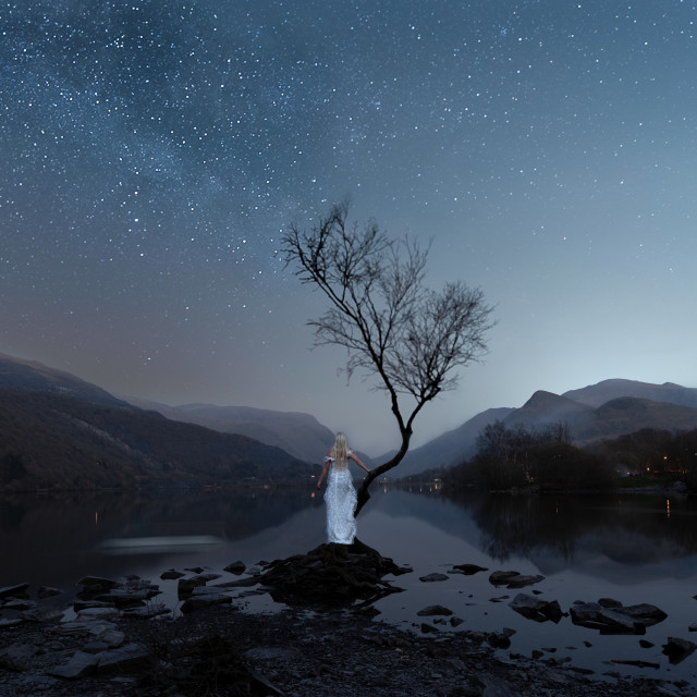 "Princess at the Lonely Tree, Llyn Padarn, Snowdonia" by Kat Lawman - $37.04 "Princess at the Lonely Tree, Llyn Padarn, Snowdonia" stock image