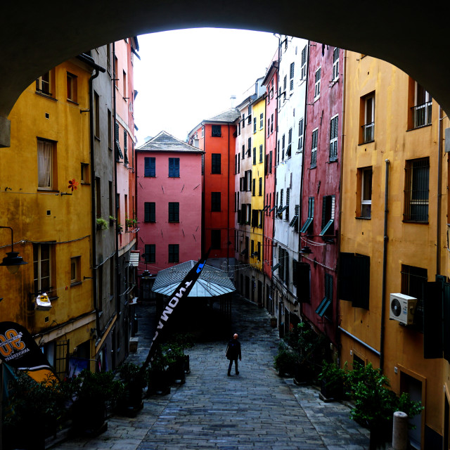 "Genova colours" by Amit Mendelsohn - £50.00 "Genova colours" stock image