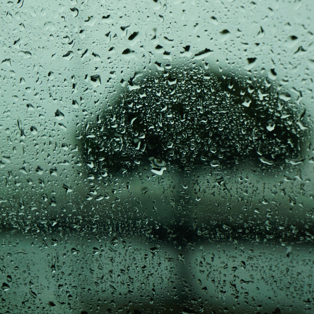 "A tree behind glass" by Amit Mendelsohn - £50.00 "A tree behind glass" stock image