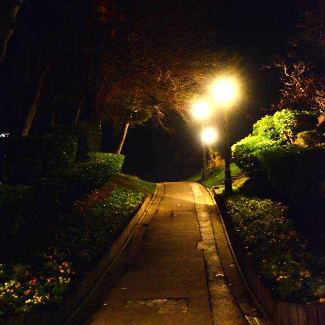 "Walkway in the park" by Amit Mendelsohn - £50.00 "Walkway in the park" stock image