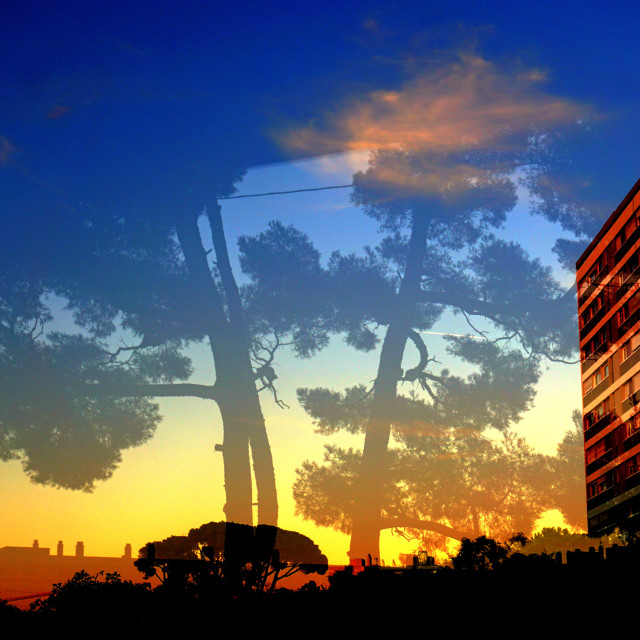 "Reflection and transparency" by Amit Mendelsohn - £50.00 "Reflection and transparency" stock image