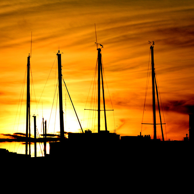 "Masts in the sunset" by Amit Mendelsohn - £50.00 "Masts in the sunset" stock image