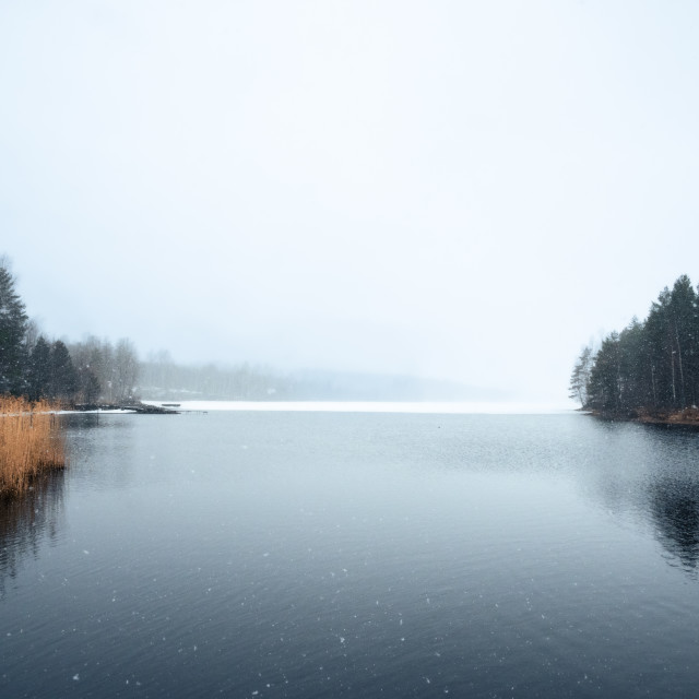 "Spring snow over the forest lake" stock image