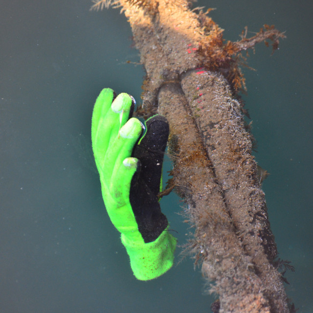 "A floating glove" by Amit Mendelsohn - £50.00 "A floating glove" stock image