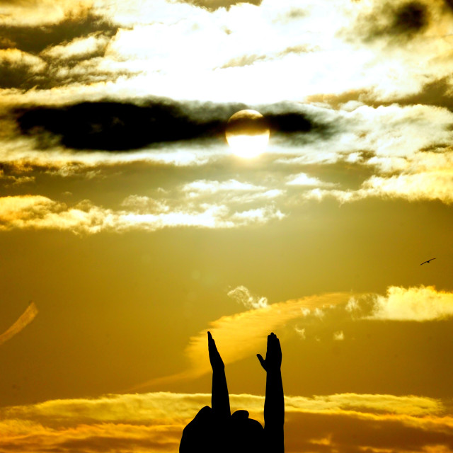 "To reach the sun" by Amit Mendelsohn - £50.00 "To reach the sun" stock image