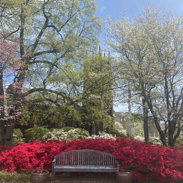 "Historic Salisbury in the Spring" stock image