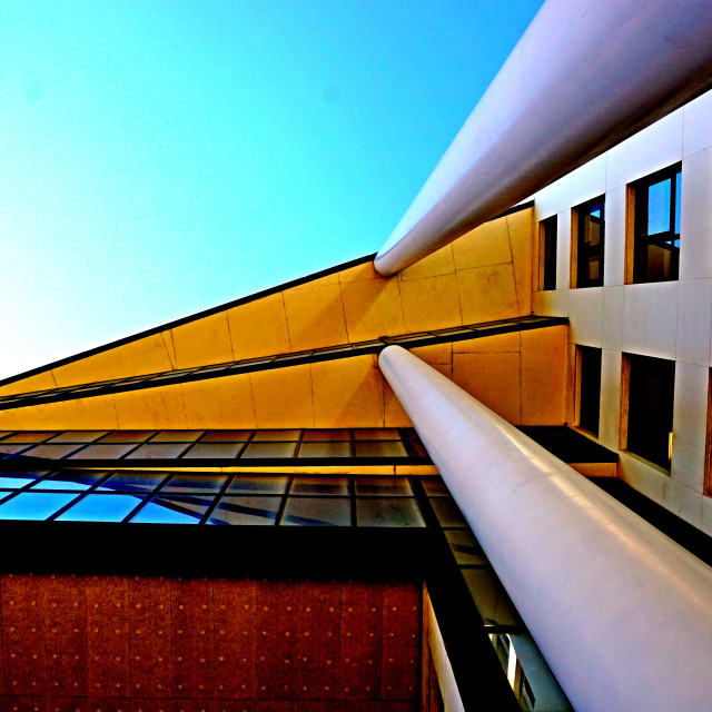 "The view from below" by Amit Mendelsohn - £50.00 "The view from below" stock image