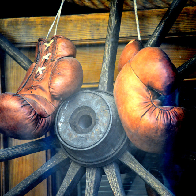 "Retired boxer" by Amit Mendelsohn - £50.00 "Retired boxer" stock image