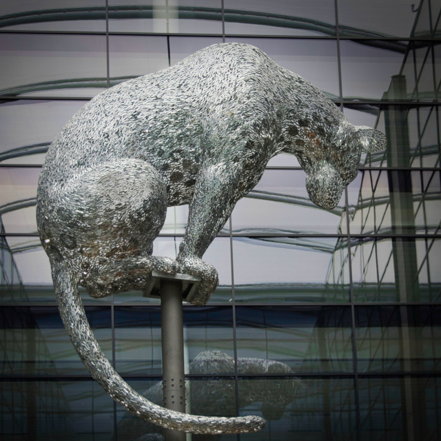 ""Poised" leopard sculpture in Aberdeen" stock image