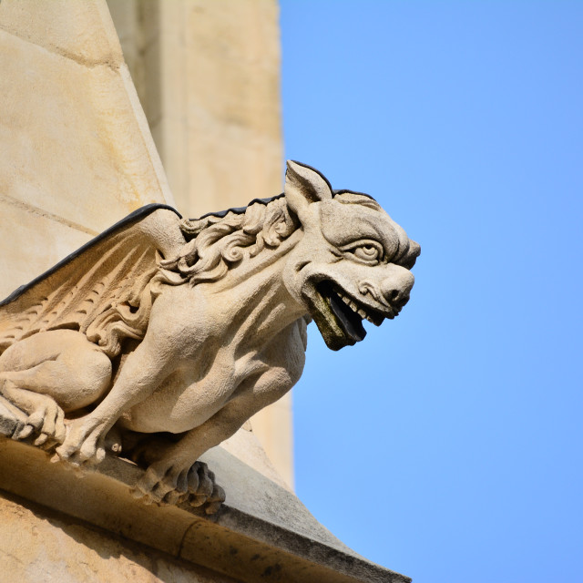"A gargoyle" by Amit Mendelsohn - £50.00 "A gargoyle" stock image