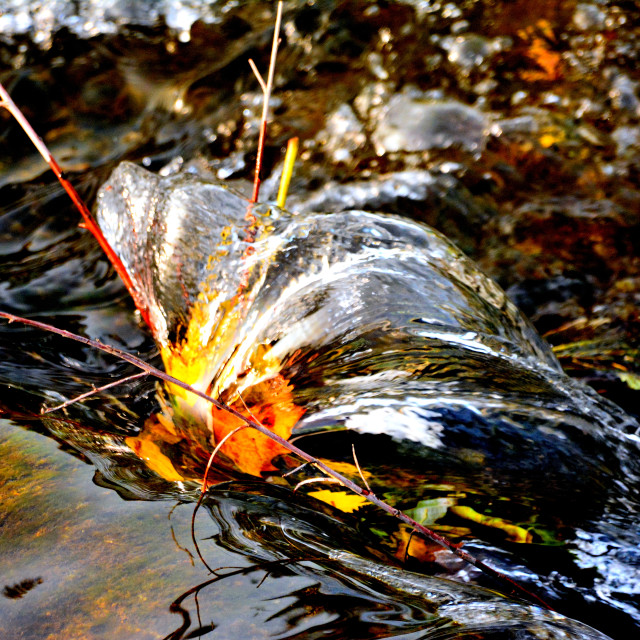 "A current of water" by Amit Mendelsohn - £50.00 "A current of water" stock image