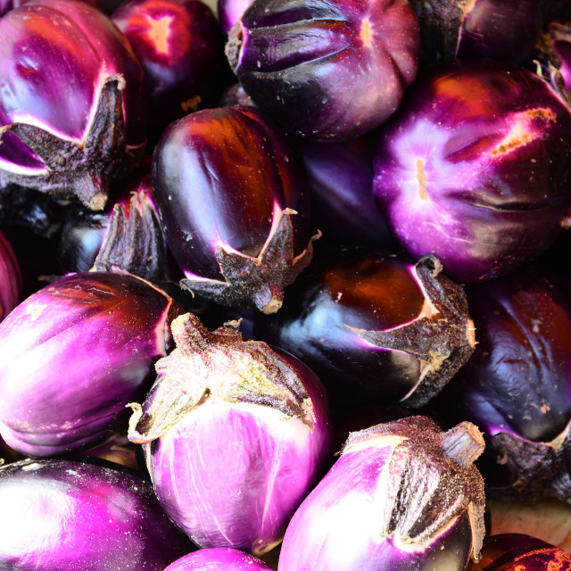 "Eggplants" by Amit Mendelsohn - $49.80 "Eggplants" stock image