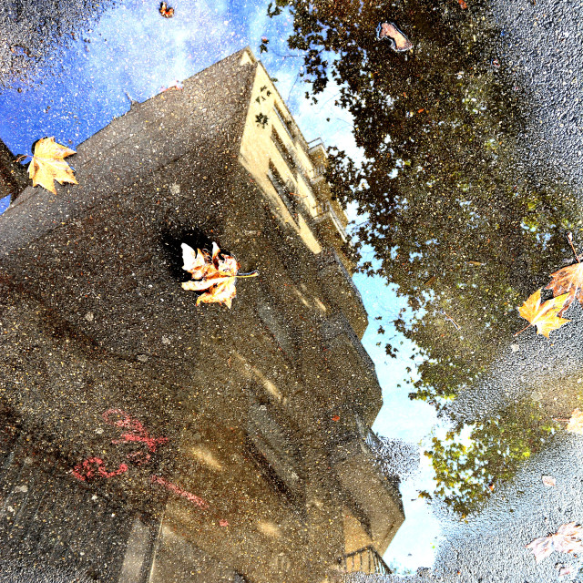 "A building reflected in a pond" by Amit Mendelsohn - $49.80 "A building reflected in a pond" stock image