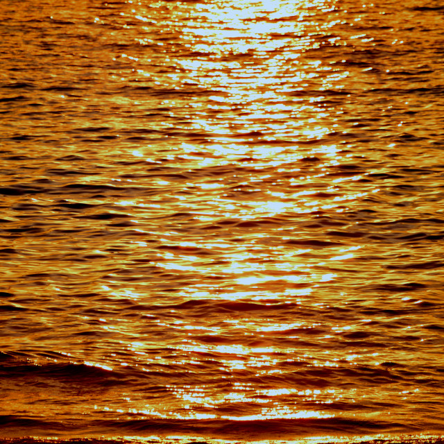 "sunset in the water" by Amit Mendelsohn - $49.80 "sunset in the water" stock image