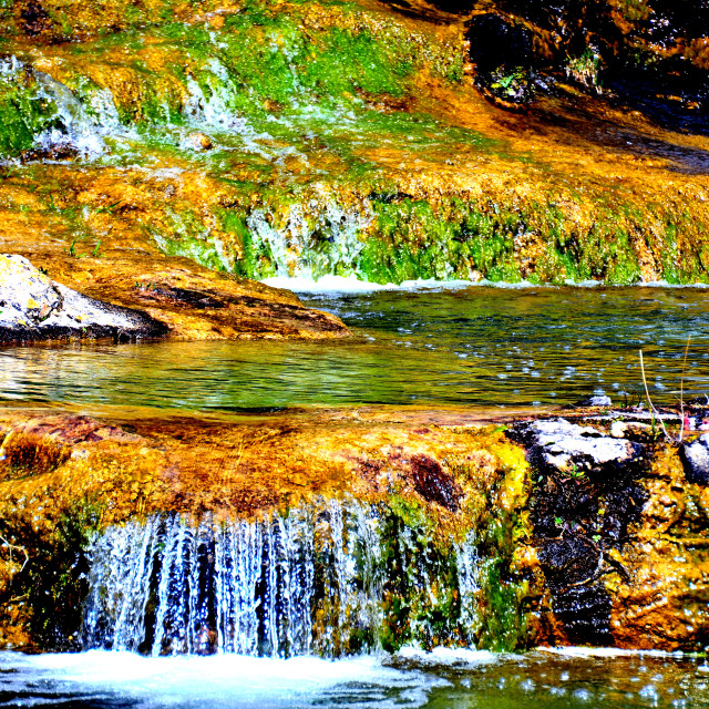 "Water pond" by Amit Mendelsohn - $49.80 "Water pond" stock image