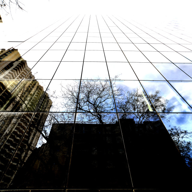 "Just reflection" by Amit Mendelsohn - £50.00 "Just reflection" stock image