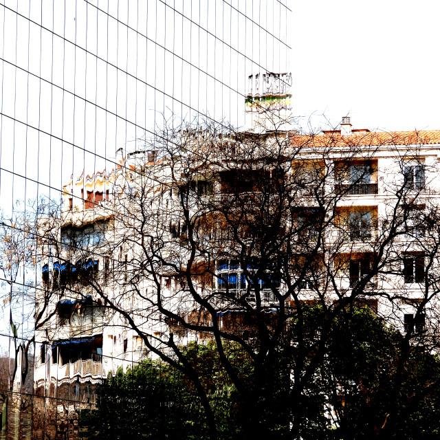 "Half reflected" by Amit Mendelsohn - £50.00 "Half reflected" stock image