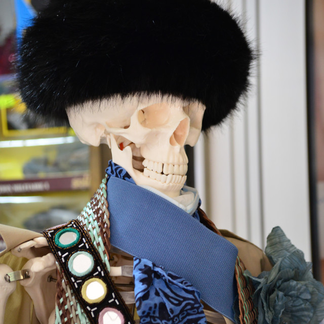 "Russian skeleton" by Amit Mendelsohn - $48.91 "Russian skeleton" stock image