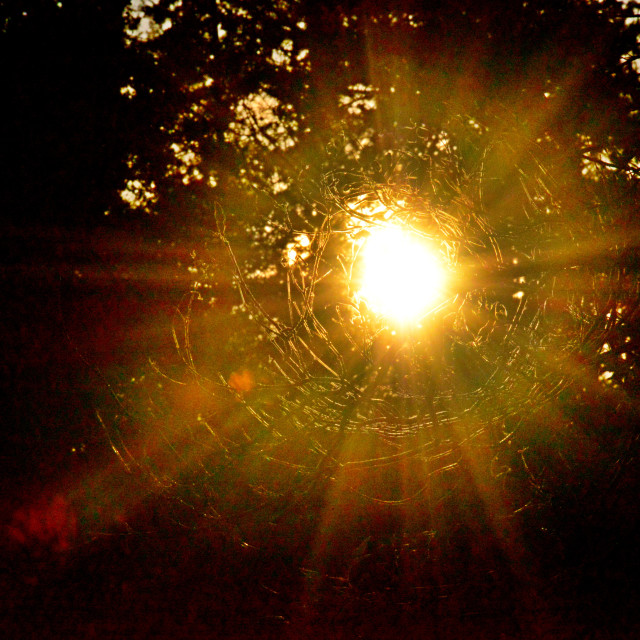 "Sun spot" by Amit Mendelsohn - $48.91 "Sun spot" stock image