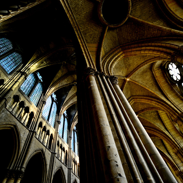 "The cathedral of Reims" by Amit Mendelsohn - $48.91 "The cathedral of Reims" stock image