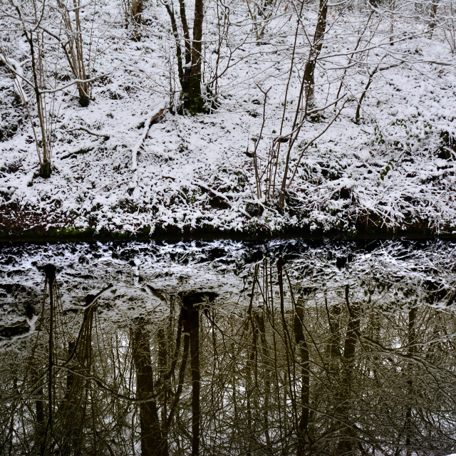 "Frozen reflection" by Amit Mendelsohn - $48.91 "Frozen reflection" stock image