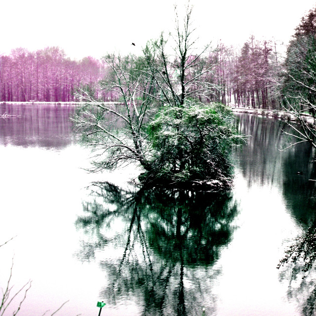 "A lake with an island" by Amit Mendelsohn - $48.91 "A lake with an island" stock image