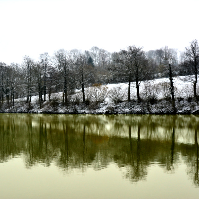 "Green lake" by Amit Mendelsohn - $48.91 "Green lake" stock image