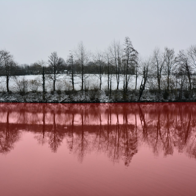 "Blood red lake" by Amit Mendelsohn - $48.91 "Blood red lake" stock image