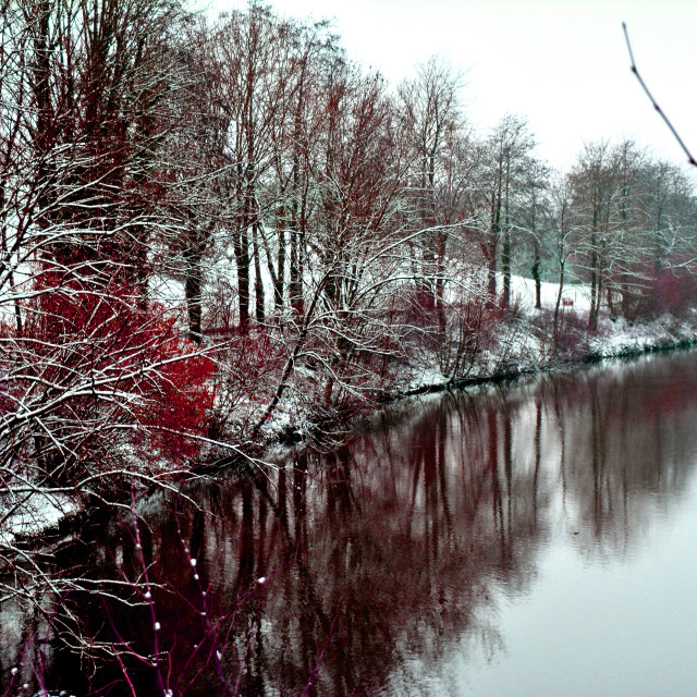 "Winter reflection" by Amit Mendelsohn - $48.91 "Winter reflection" stock image