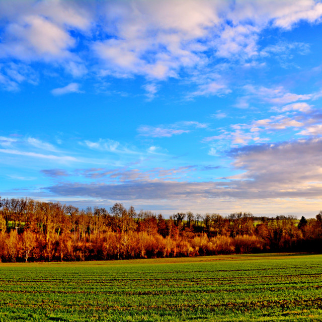 "Sunny day in the North of France" by Amit Mendelsohn - $48.91 "Sunny day in the North of France" stock image