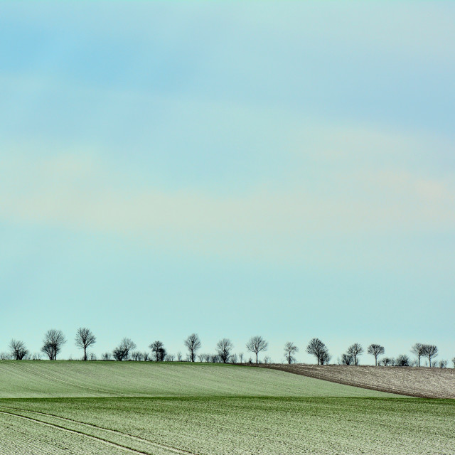 "Horizon in the North of France" by Amit Mendelsohn - $48.91 "Horizon in the North of France" stock image
