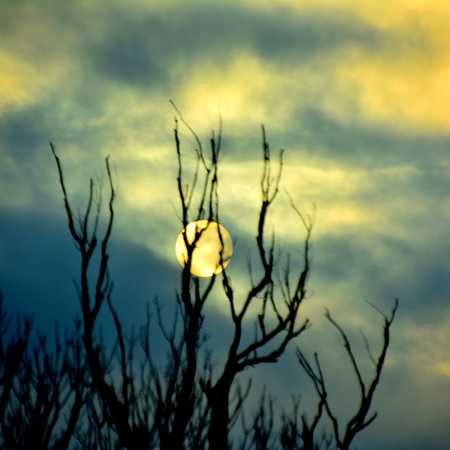 "The sun trying to get out" by Amit Mendelsohn - $48.91 "The sun trying to get out" stock image