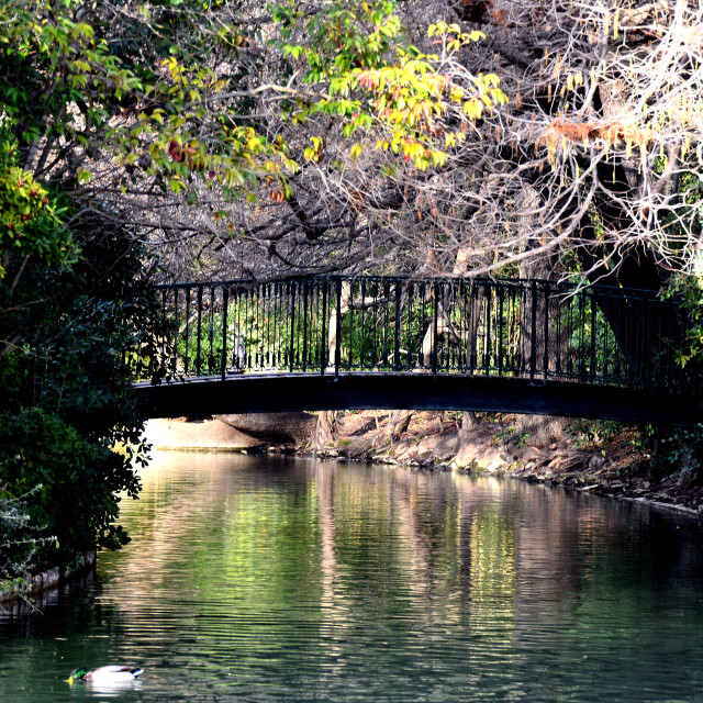 "Bridge over calm water" by Amit Mendelsohn - $48.91 "Bridge over calm water" stock image