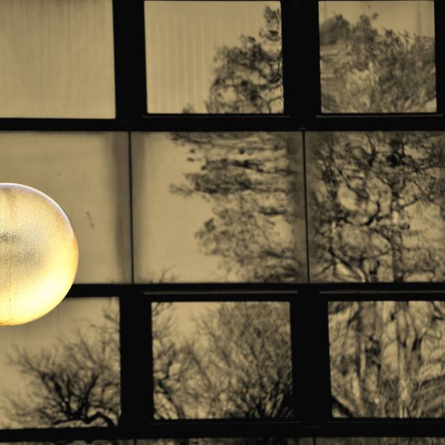 "Lights up" by Amit Mendelsohn - $48.91 "Lights up" stock image