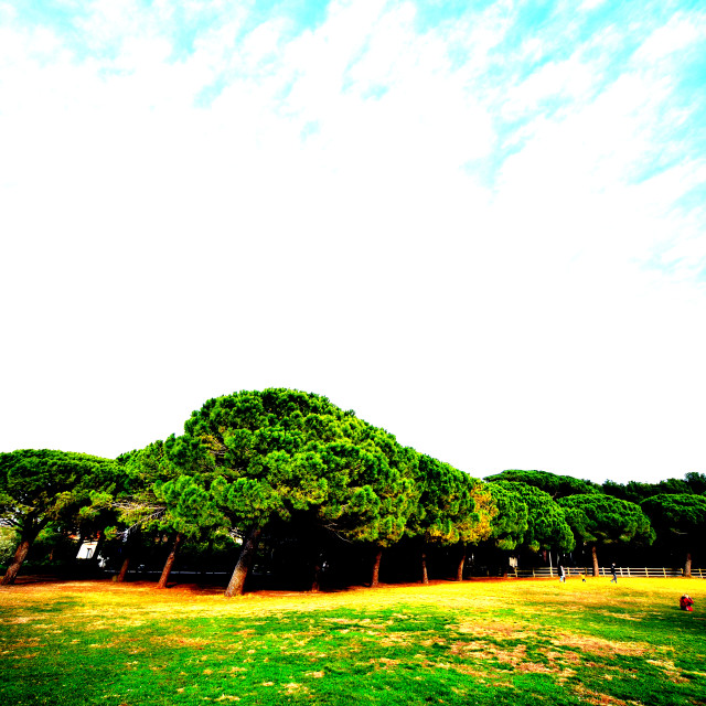 "In the park" by Amit Mendelsohn - $48.91 "In the park" stock image