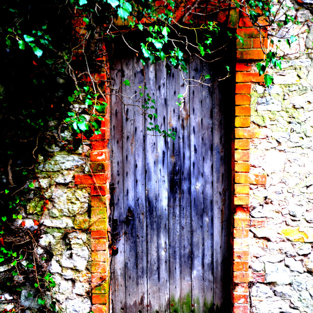 "A hidden door" by Amit Mendelsohn - $48.91 "A hidden door" stock image