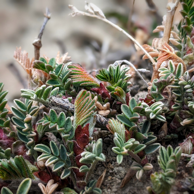 "Nature finds a way" by MLLL Photography - $15.21 "Nature finds a way" stock image