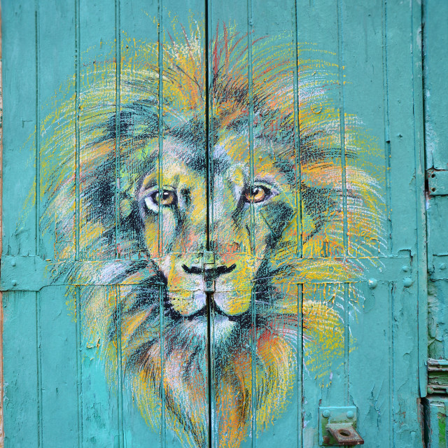 "Lion on the door" by Amit Mendelsohn - $48.91 "Lion on the door" stock image