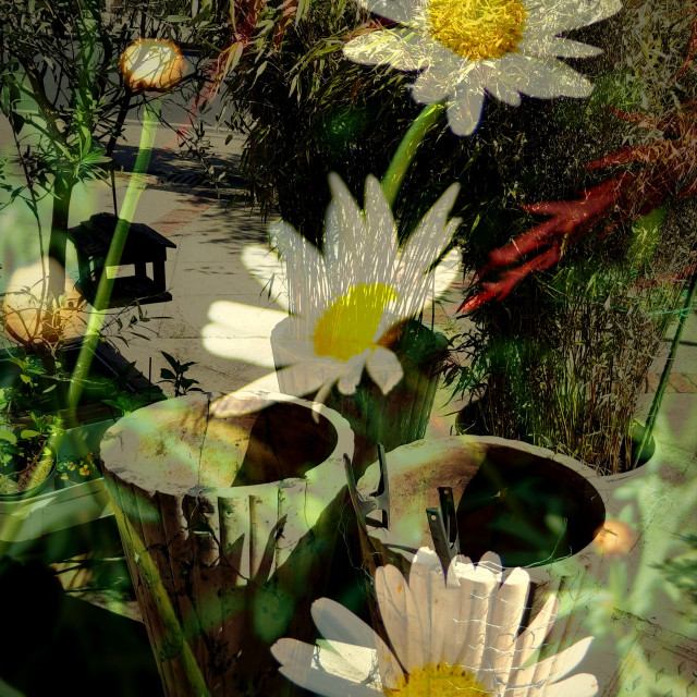 "Front garden" by Rudolf Reinbacher - $12.05 "Front garden" stock image