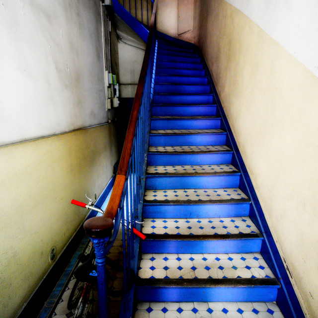 "An entrance with blue steps" by Amit Mendelsohn - $48.91 "An entrance with blue steps" stock image