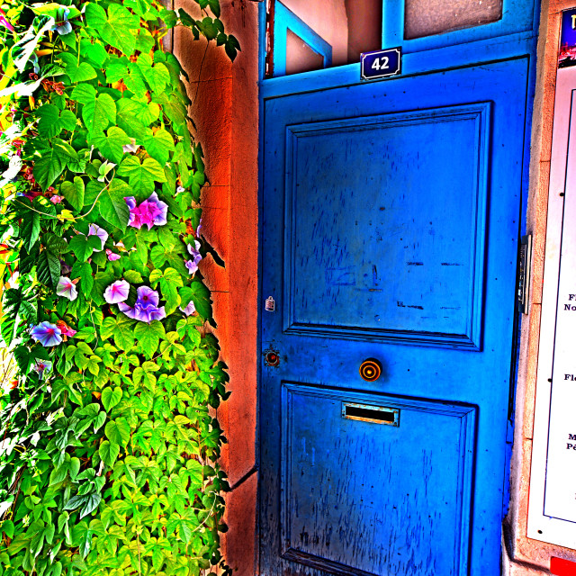 "A door with a plant" by Amit Mendelsohn - $48.91 "A door with a plant" stock image