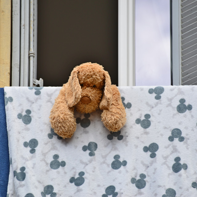 "Drying up the dog" by Amit Mendelsohn - $48.91 "Drying up the dog" stock image