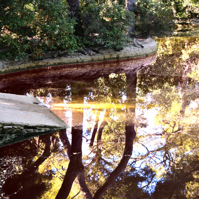 "Reflection in a pond between the woods" by Amit Mendelsohn - $48.79 "Reflection in a pond between the woods" stock image